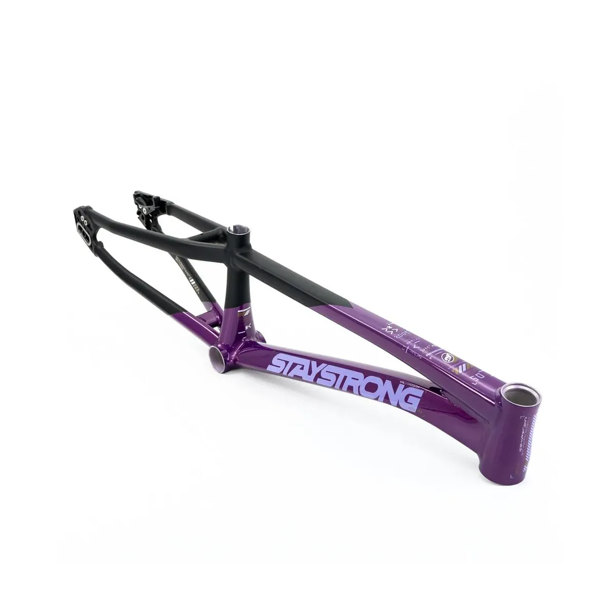 Stay Strong V5 Disc Only Frame 2025 Purple/Black